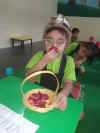 WhatsApp Image 2022-09-02 at 15.26.29.jpeg (73183 bytes)